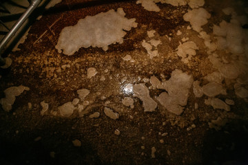 Brewing process. Fermentation of beer inside the vat