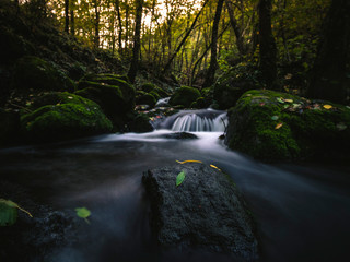 Rivière en sous-bois