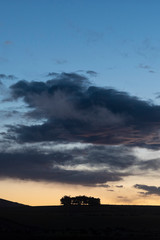 Sunset landscape at a hilly landscape with trees at the Otago coastline of New Zealand south island, forming a nice silhouette