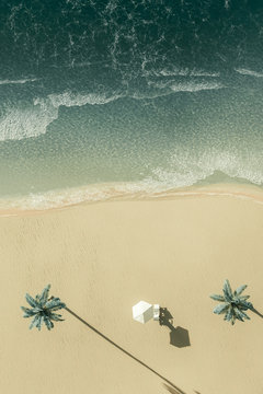 3d Rendering Of Palm Beach With Chair And Sunshade In Top View