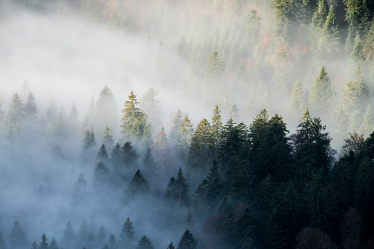autumn in the mountains