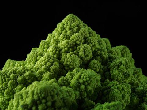 Fototapeta romanesco cabage close up