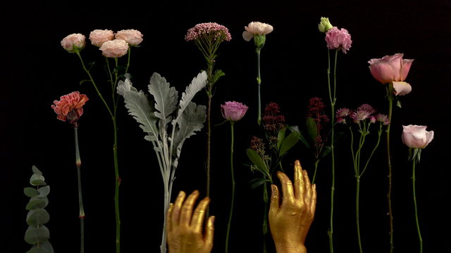 Gold hands touck flowers on black background. flowers lay on the table. Nice footage of woman hands gesture.
