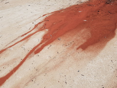 The red sand of the steep erosion at Praia da Lua is washed into the Rio Negro. Location: near Manaus - Amazon, Brazil. March 24, 2020 - Powered by Adobe