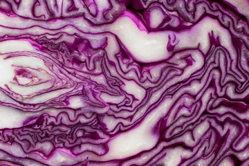 Obraz premium Red cabbage slice close up. Natural texture.