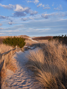 New Jersey's Island Beach State Park shows its true beauty in this dusk image of one of the many access points to the beach across the tall an protected sand dunes