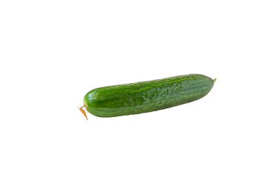 Ripe cucumber isolated on white background.