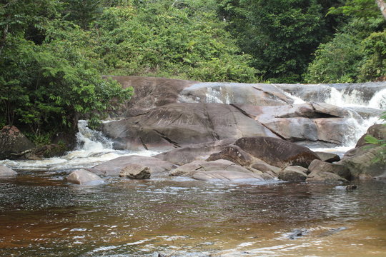 raudal seiva cachivera