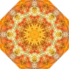 Beautiful mandala pattern with floral and geometric ornament in orange colors.