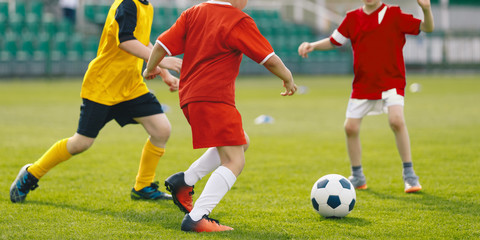 Children play soccer game on grass venue. Kids kicking soccer ball. Boys in red and yellow soccer jersey and soccer cleats