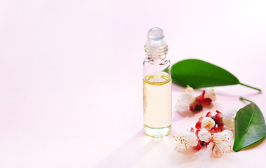 Cosmetic essential oil. Bottle with  fresh green plant leaves and flowers and sunlight on pastel pink  background.  Natural  cosmetics and Aromatherapy treatment. Copy space