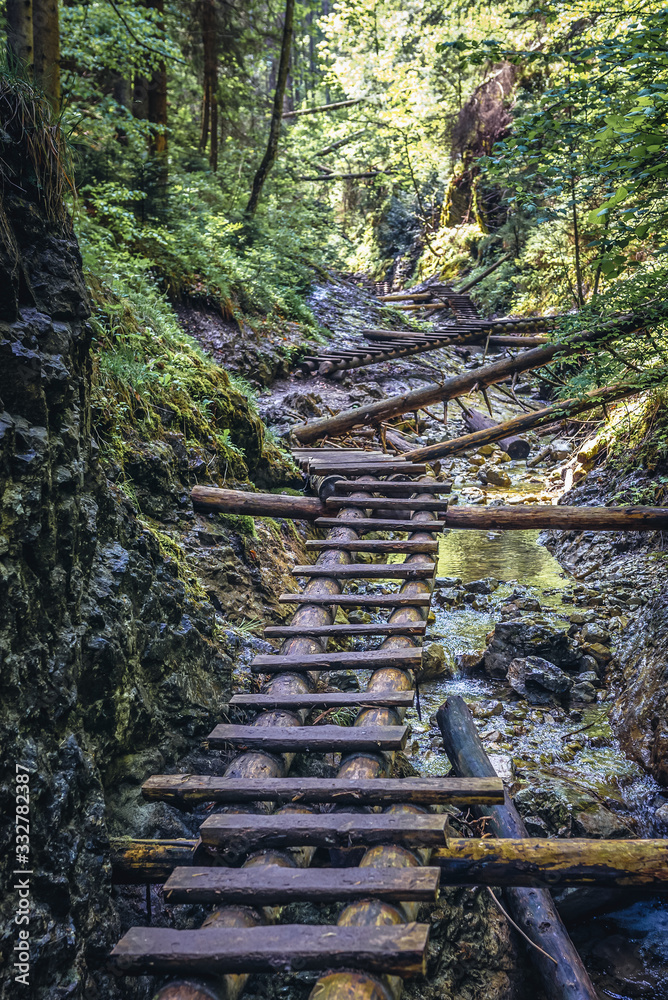 Wall mural Sucha Bela canyon trail in Slovak Paradise park in Slovakia