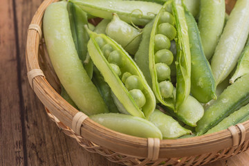 春の味覚　エンドウ豆