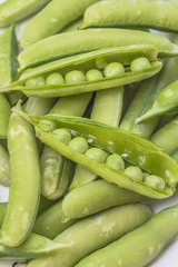 春の味覚　エンドウ豆