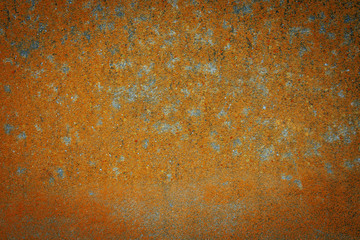 Orange moss on the wall. The texture of the moss.