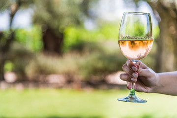 A young woman holding a glass of rose pink wine against the background of vineyard