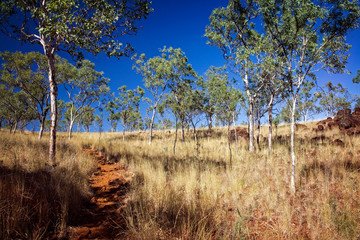 Nature photographer on a hiking trip at the Australian outback between dome of rocks as shadow play with blue sky at the morning light - Design Element