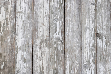 The old gray wooden background with a crackling white paint. Vintage style.