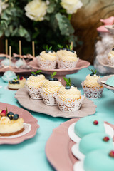 Candy bar with marshmallows, cupcakes for candy bar, candy bar for a holiday, candy bar for a wedding