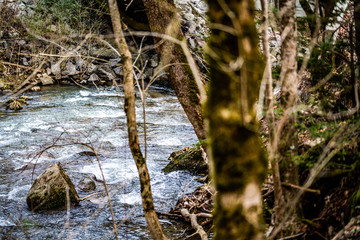ROCKY MOUNTAIN STREAM