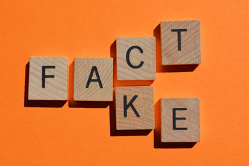 Fact and Fake, words isolated on orange background