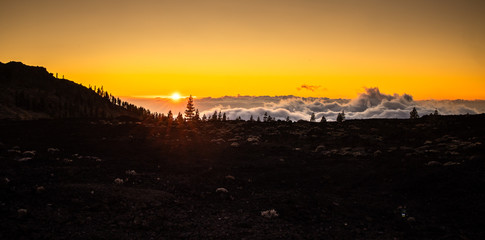 Teide National Park, Tenerife, Canary islands