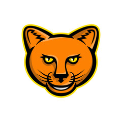 Mascot icon illustration of head of a smiling puma, cougar, panther or mountain lion viewed from front on isolated background in retro style.