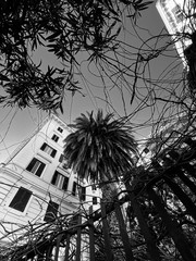 fireworks over the city