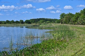 Orlando Wetlands Park with Lake and Marsh and Dike Trail