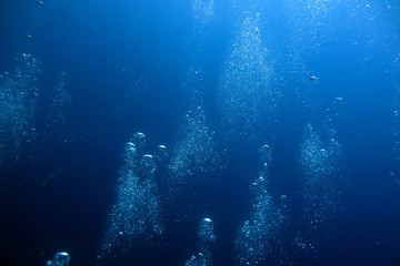 Bubble in the Blue Sea Underwater Ambiance