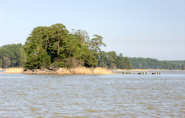 tropical island in thailand