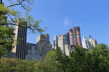 Fototapeta premium skyscrapers in new york city