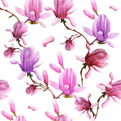 magnolia branch, pattern,beautiful pink  flowers, flowers isolated on a white background, vintage © aboard