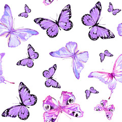 beautiful butterfly pattern,watercolor,isolated on a white