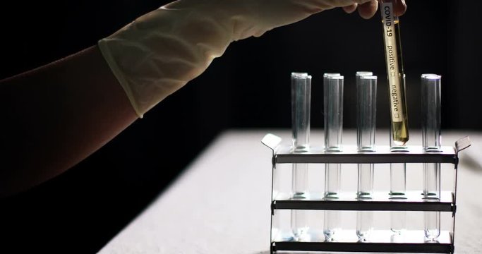 Conceptual 4K video of a doctor holding and looking at a test tube while testing samples for presence of coronavirus (COVID-19).