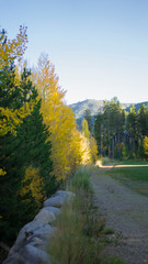 Obraz premium SONY DSC