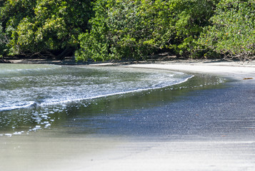 Obraz na płótnie Canvas Beautiful beach of Daintree National Park, Queensland - Australia