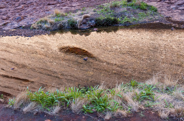 Australian outback pond reflections on a sunny day
