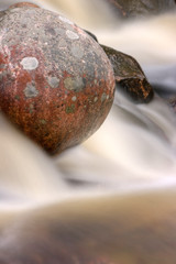 stream in the forest