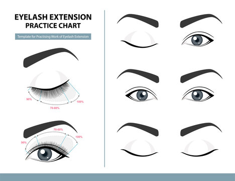Training Poster, Practice Chart. Density of Eyelash Extension for Great Look. Eyelash Extension Guide. Infographic Vector Illustration