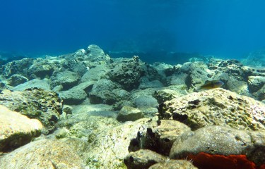 Naklejka na ściany i meble Underwater Scene Background, Diving