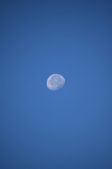 Day time Moon 