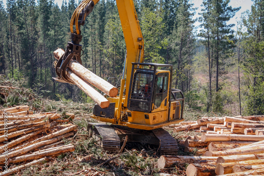 Wall mural Logging Equipment Forest Machine