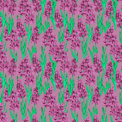 abstract lavender with green leaves drawn on a pink background, illustrations