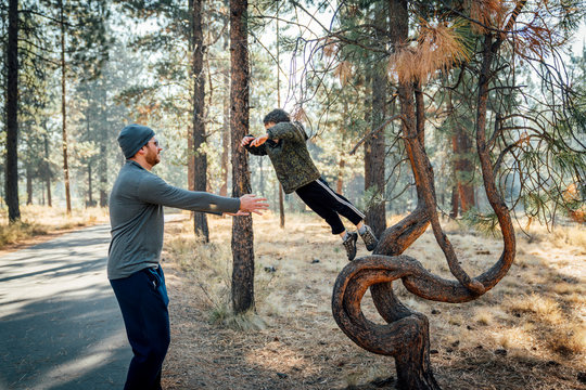 Boy jumping off of tree into dad's arms