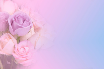 Cool color background with bouquet of roses showing soft feeling and bright love.