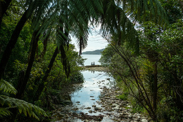 Fototapeta na wymiar Stream through forest to sea with two people sitting at Ship Cove in Marlborough Sounds New Zealand