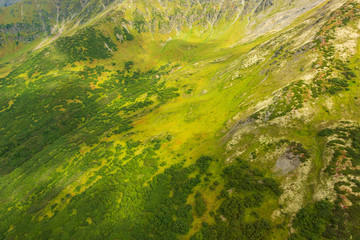 aerial view of Kamchatka volcanos, green valleys, snow and ice and the wonderful view of pure nature.