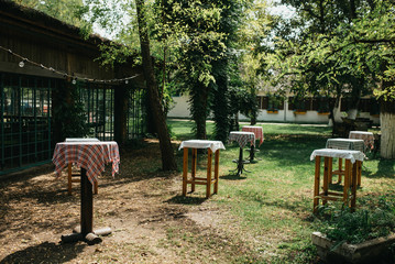 Table and chairs in garden
