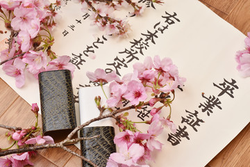 卒業証書のイメージ撮影